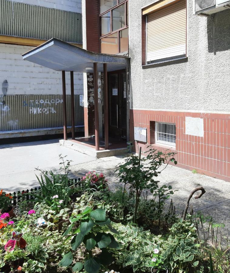Apartmán Ada, New Bělehrad Exteriér fotografie